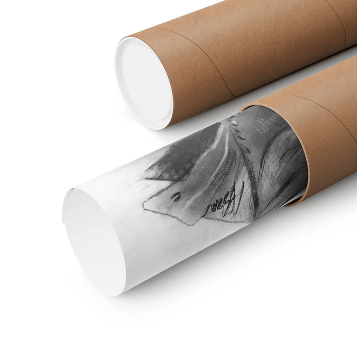 JIMIN of BTS Drawing Print Printify - Adam Benet Shaw